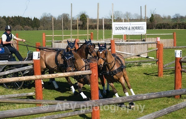 _DSC8891 - Ashfields Carriage & Polo Club