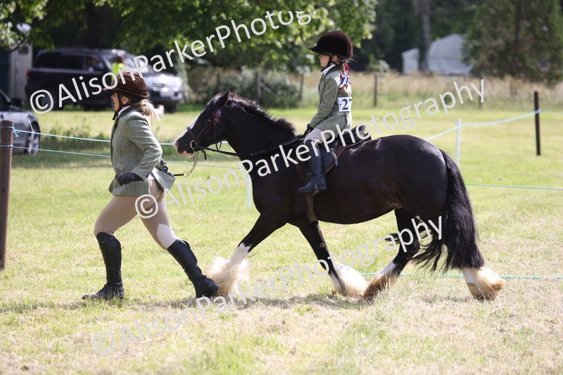 20260614-0640 - Class 20 - Beginners Working Hunter Pony