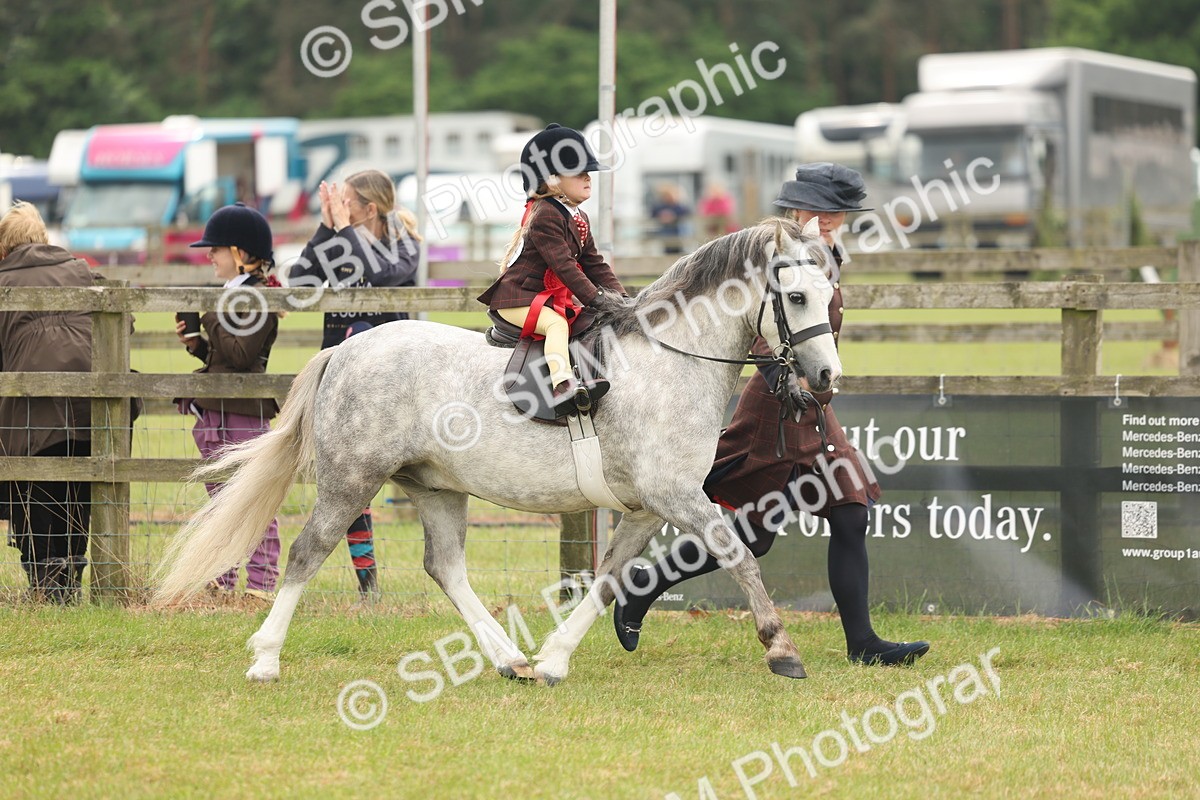 SBM_06835 - Class 74-75 - M&M Lead Rein and First Ridden Pony