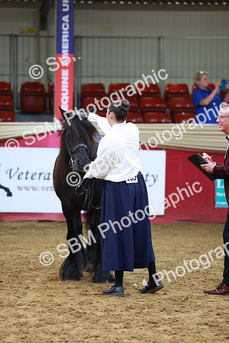 SBM_17077 - Class 902 - Sup Final - IH  Veteran