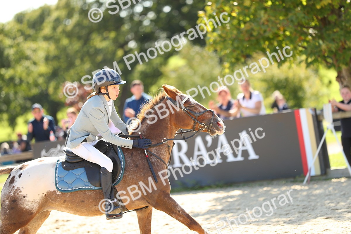 SBM_24340 - J45 - Accumulator 70 80cm