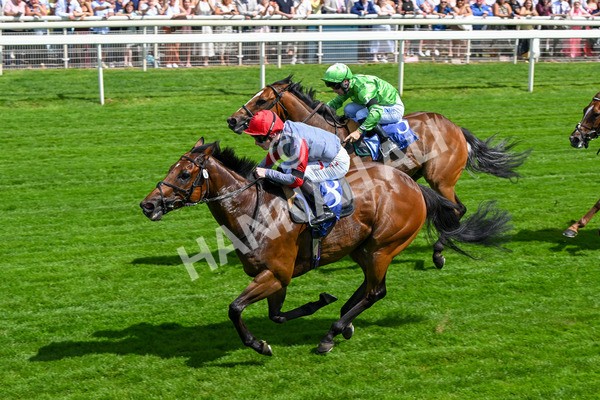 280625-Race 3-Squealer-0255 - Race 3 3.00pm Al Basti Equiworld Dubai Dash Handicap