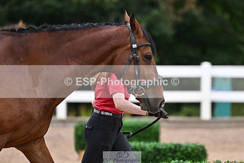 250716-133439-00582 - Trot Up 1.30 to 2.30