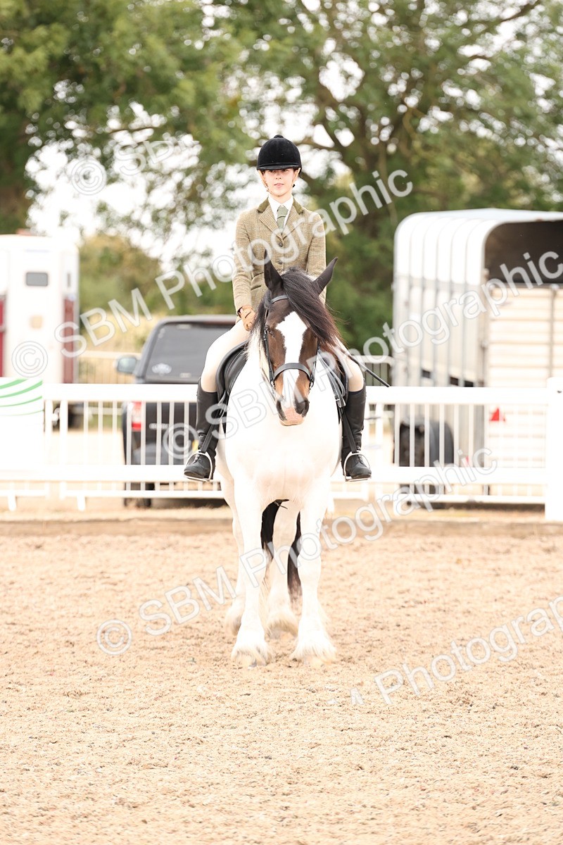 SBM_19724 - Class 216 - Ridden Traditional - Native Cob