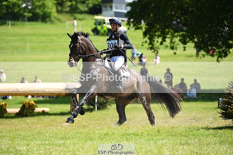 230527-113036-09178 - 309-PLOT_TWIST_B-Tom_Jackson-XC