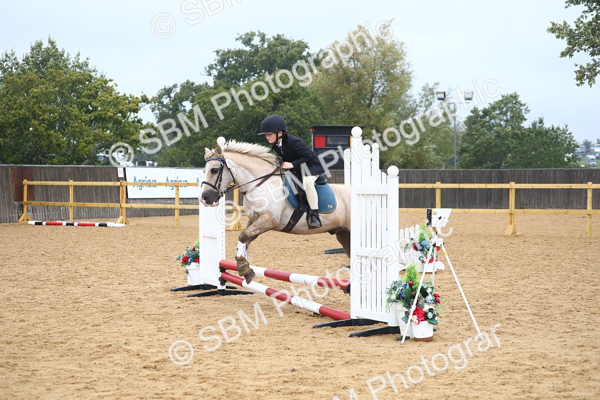 SBM_71576 - J4 - Mini Tour Junior Pony 45cm Championship
