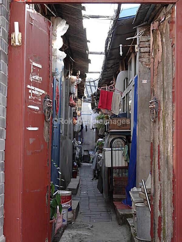 CHINA__1180 - China 2019