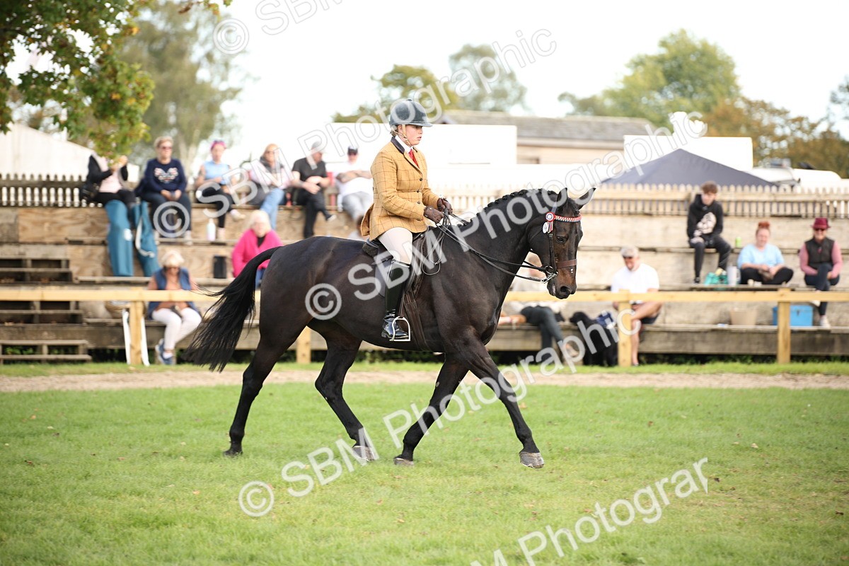 SBM_50226 - S26 - Young Veteran - Ridden