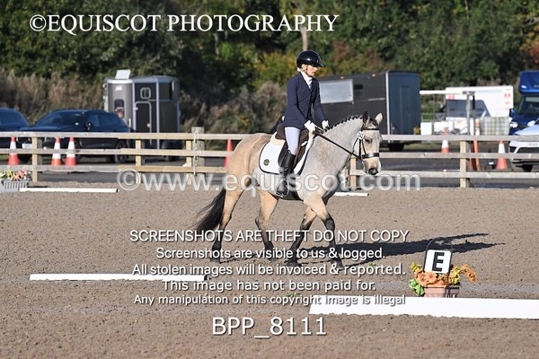 BPP_8111 - SHORT ARENA