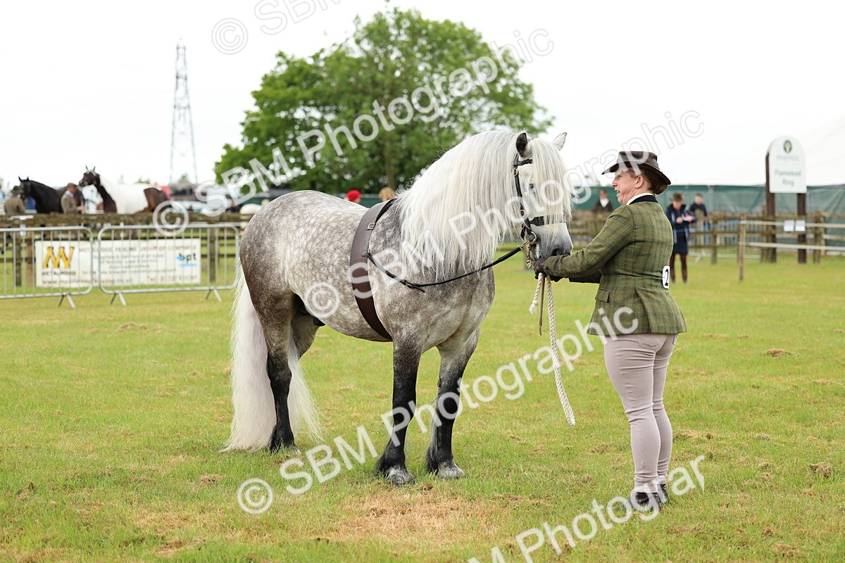 SBM_00502 - Class 58-67 - M&M Non Welsh Pony In hand