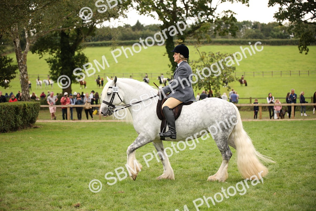 SBM_73473 - S68 - Traditional Cob Ridden