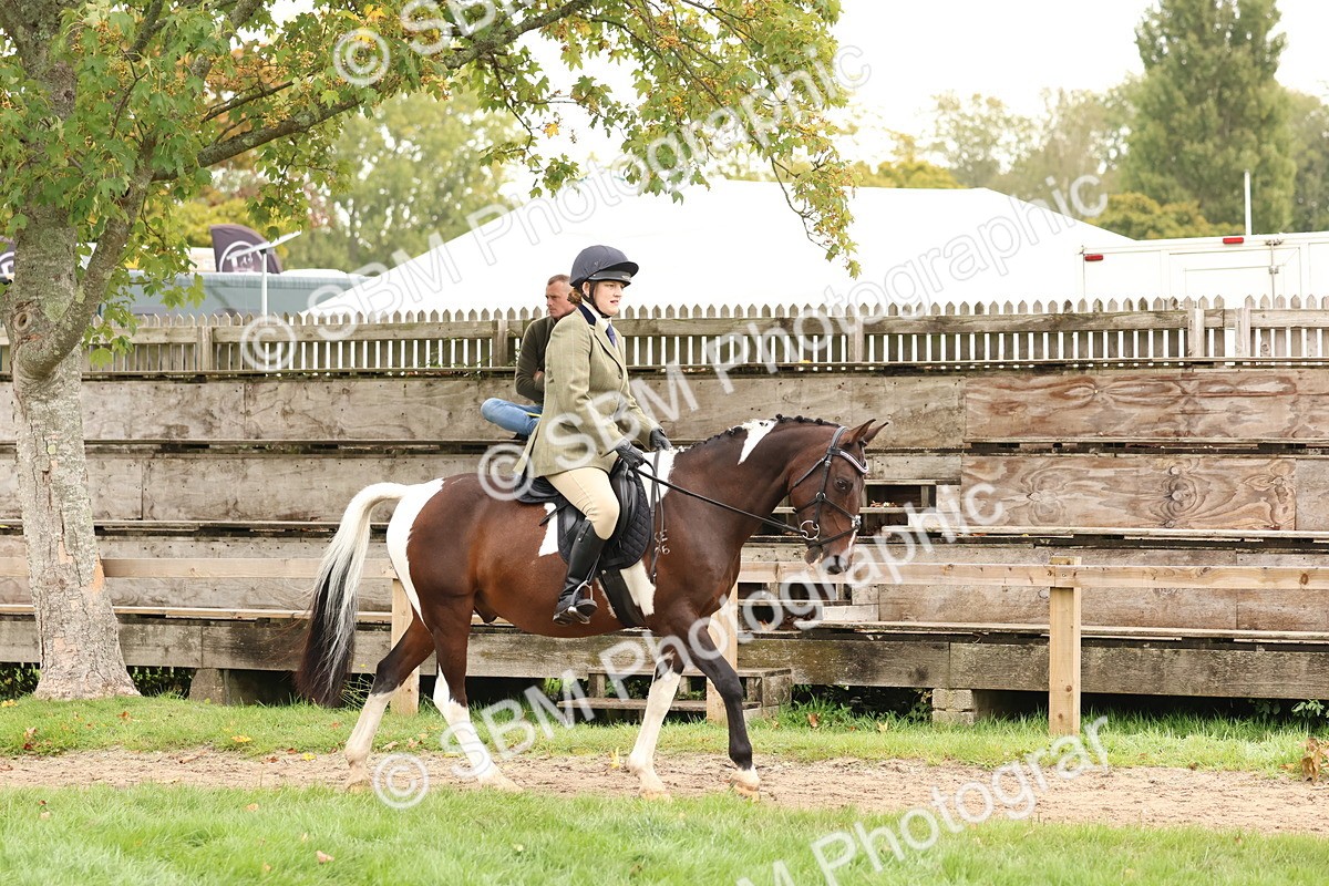SBM_59833 - S36 - Rehabiliated Rescue Horse & Pony In Hand & Ridden