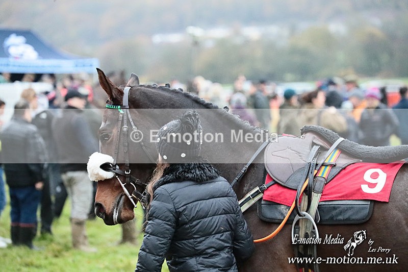 PtP 091125  1239 - Point-to-Point Wales Area Club Lower Machen, Gwent 09/11/25