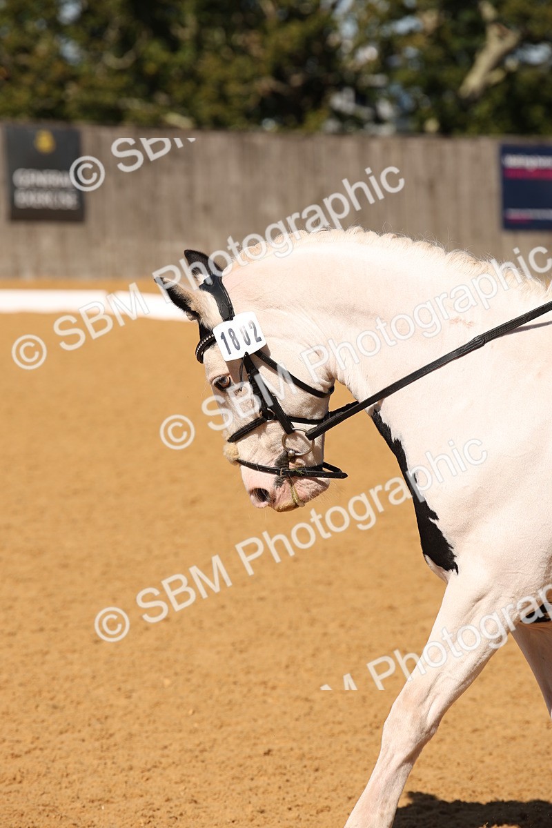 SBM_21648 - D5 - Small Tour Championship - Intro C