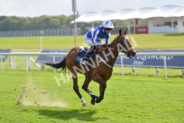 yr13052021r5-23 - Race 5 3.40pm British Stallion Studs EBF Westow Stakes