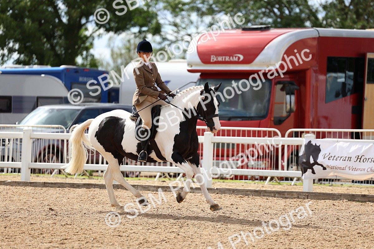 SBM_15849 - Class 314 - Family Horse - Pony