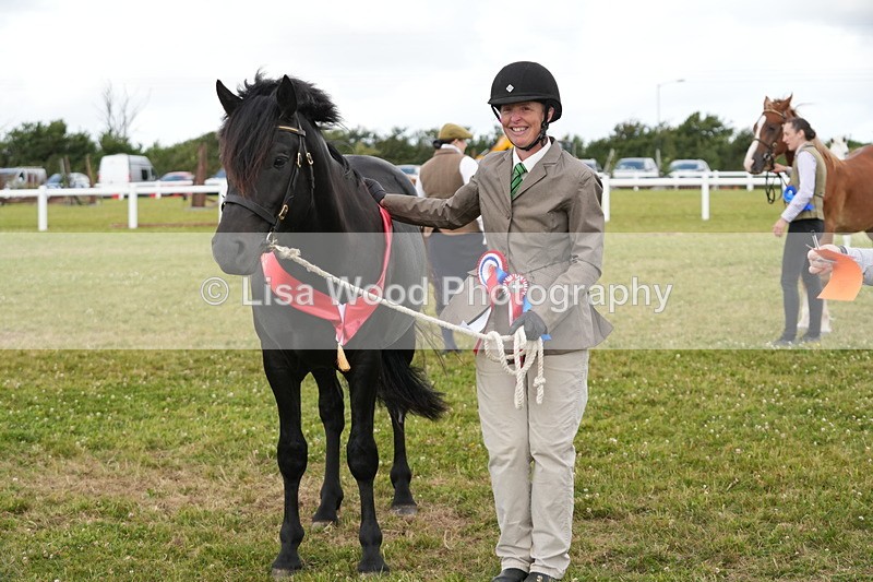 DSC05985 - NPS M&M In Hand Championship