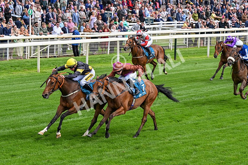 120626-Race 4-Big Negotiator-0234 - Race 4 15.35pm Juddmonte EBF Fillies' Restricted Novice