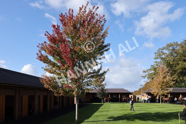 yr08102022r3-25 - Race 3 2.40pm The Coral 'Beaten-by-a-Length' Free Bet Handicap