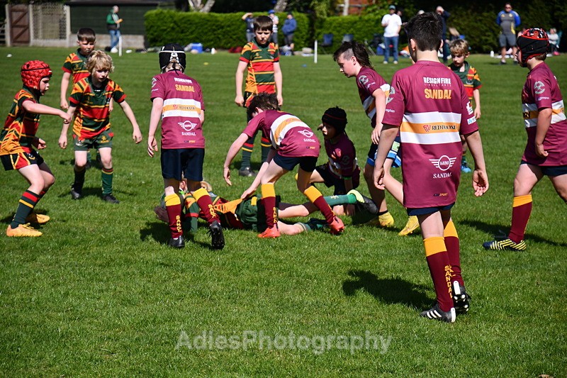  - Selby Rugby Festival 2025