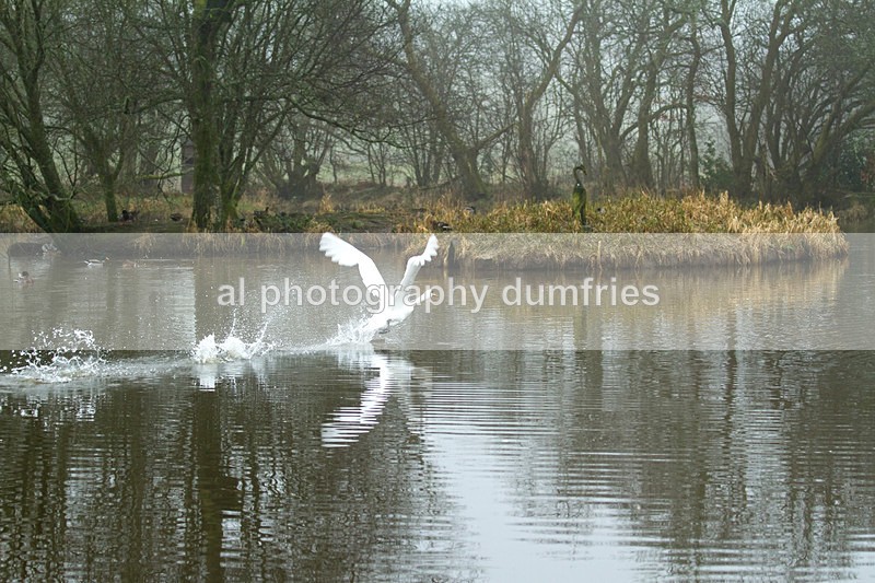 - Eskrigg Nature Reserve Lockerbie