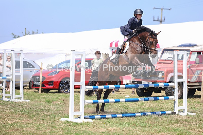 3E7A4448 - Class 10: Senior British Novice/90cm open