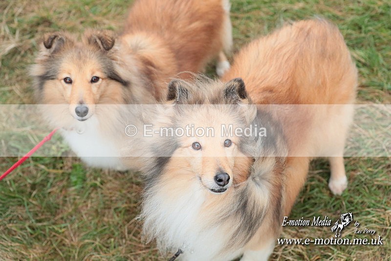 PtP 040224 675 - Combined Services Point-toPoint Larkhill 04/02/24