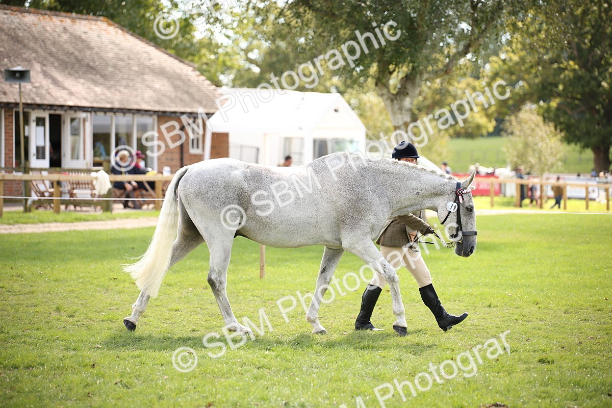 SBM_44353 - S24 - Young Veteran in hand