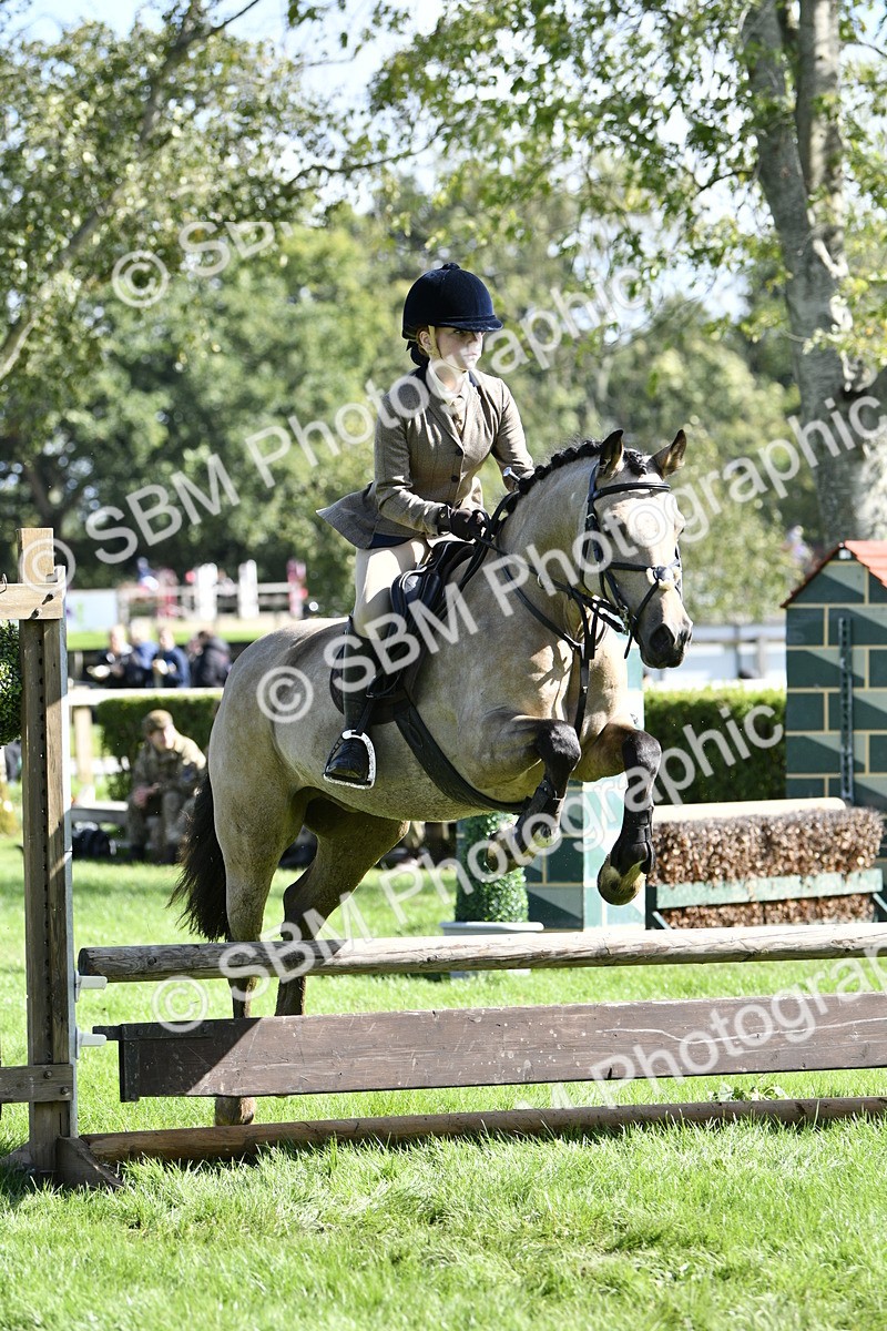 SBM_45728 - S33 - Working Hunter Pony
