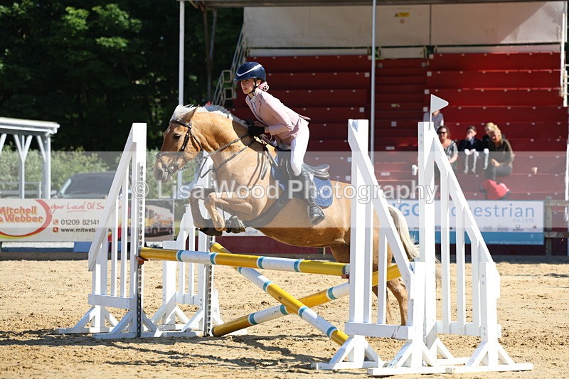 3E7A8941 - Class 4: Pony British Novice/80cm open