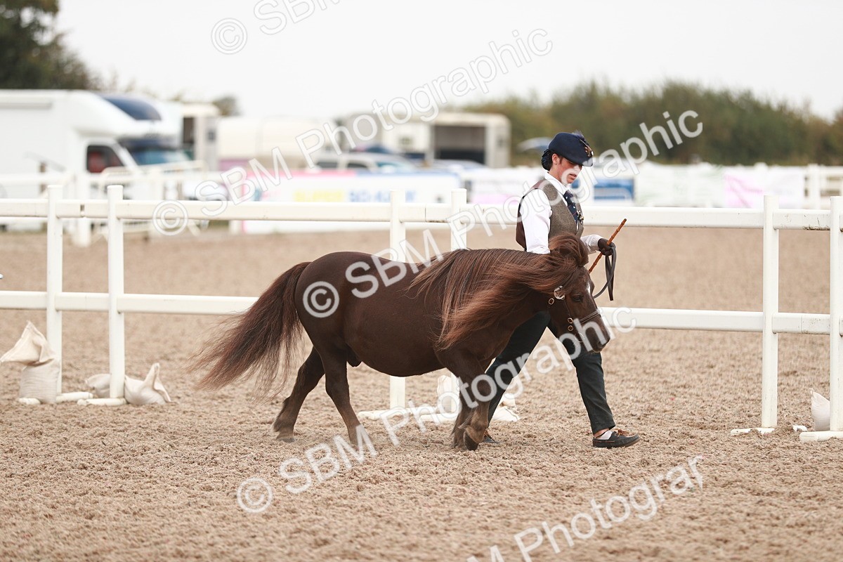 SBM_12402 - Class 207 IH M&M