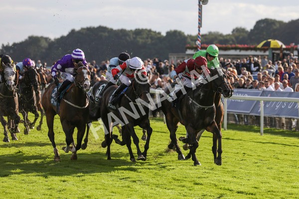 230923-Race 5-Vintage Clarets-5388 - Race 5 4.20pm Vickers.Bet Handicap