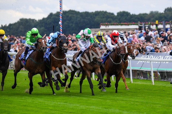 230823-Race 1-Equilateral-0240 - Race 1 1.50pm Sky Bet And Symphony Group Handicap