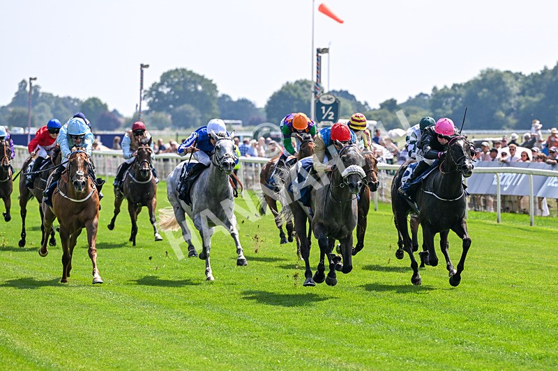 100726-Race 2-Flora Of Bermuda-9642 - Race 2 14.45pm William Hill Summer Stakes