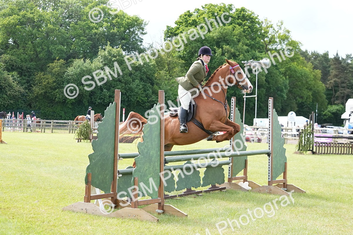 SBM_12904 - Class 99 - RIHS SEIB Working Show Horse