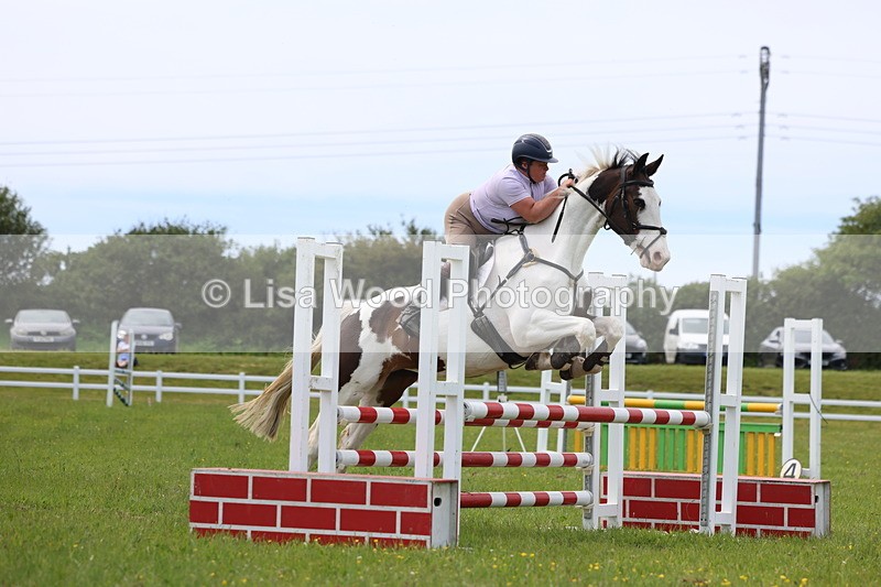 3E7A1680 - Class 13: Senior British Novice/90cm open