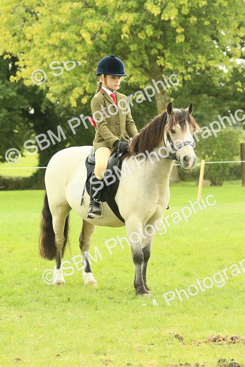 SBM_69938 - S59 - Mountain & Moorland Ridden Small Breeds