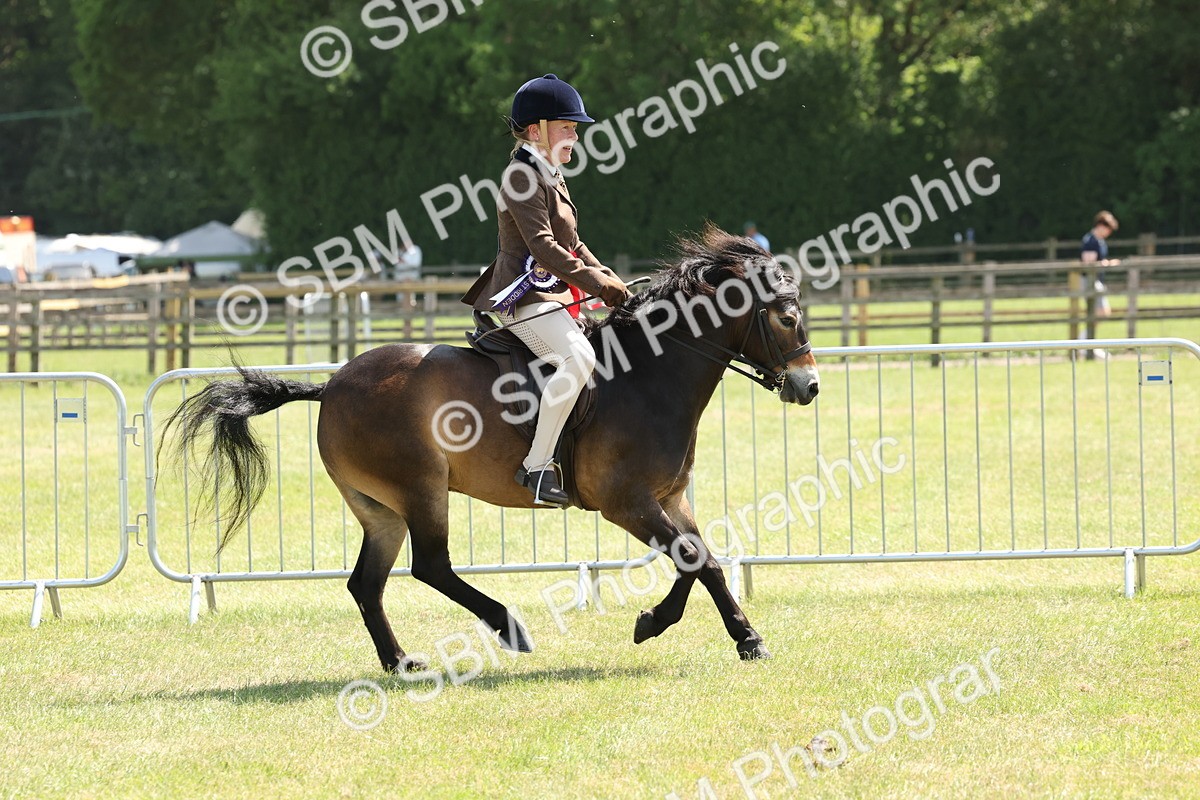 SBM_06871 - Class 26-30 - Mountain and Moorland Ridden