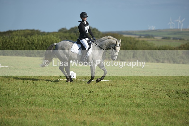 RAY_7404 - Class 2B: Trekenning Open: Dressage