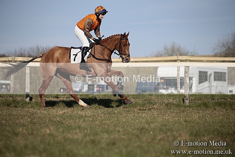 PtP 240218 461 - Vine & Craven Hunt Point-to-Point Barbury racecourse 24/02/18