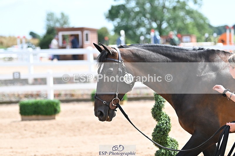240717A-145251-02367 - Trot Up 2pm to 3pm - This folder is not in time order