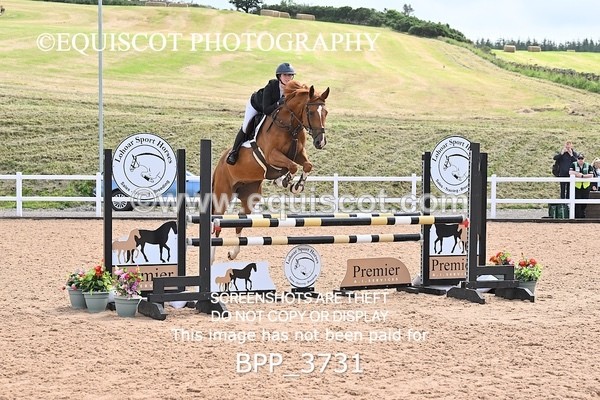 BPP_3731 - CLASS 1 WED Nupafeeds Senior Dicovery/1m open