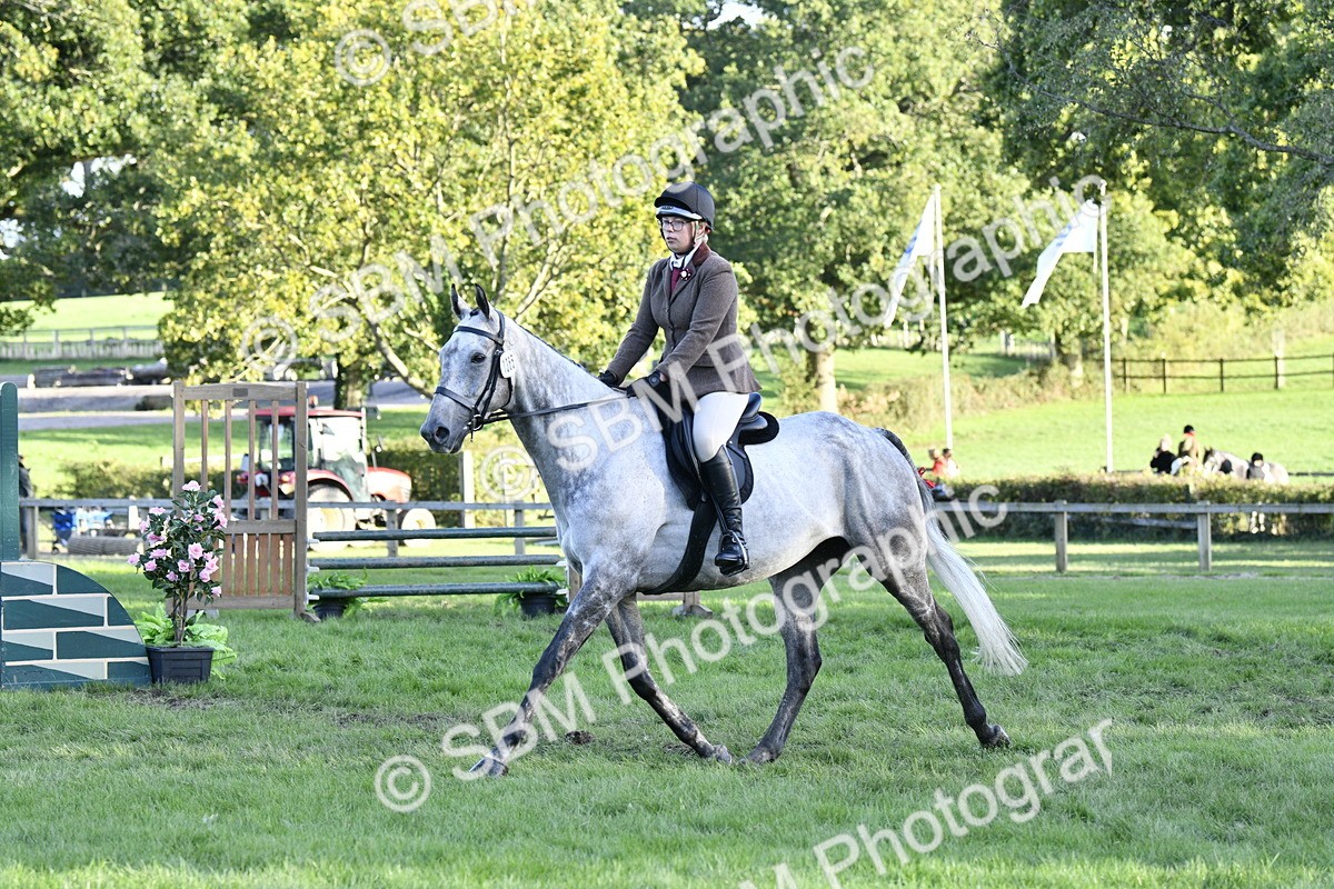SBM_53542 - S14 - Riding Club Horse