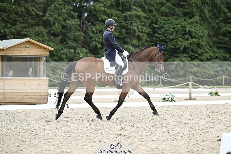 240523-161141-05424 - 443-FIGARO_DES_PREMICES-Alexander_Peternell