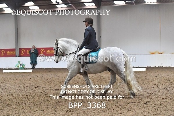 BPP_3368 - INTRO TEST 1