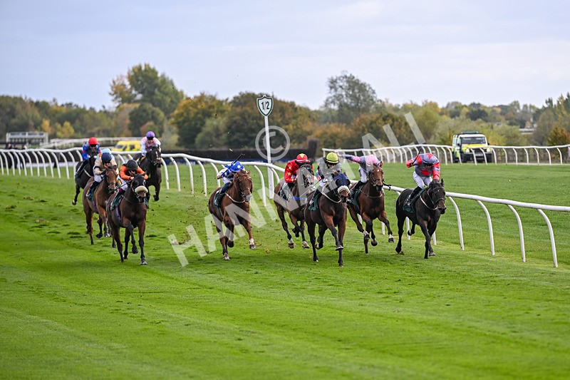 171026-Race 4-Woodstock-5686 - Race 4 2.45pm William Hill Best Odds Guaranteed Veterans' Handicap