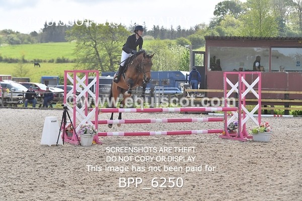 BPP_6250 - CLASS 32 MON Club/ Unaffiliated 80cms Open