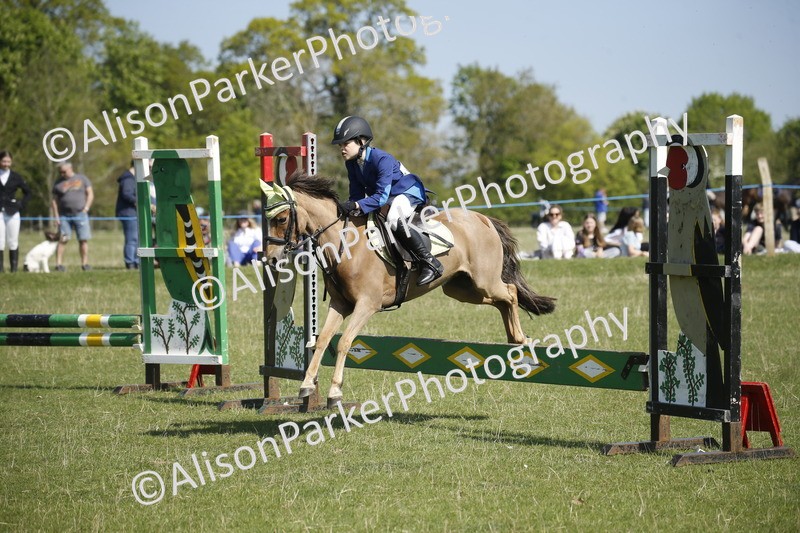 20250427-2122 - Class 13 - Novice Jumping 60cm