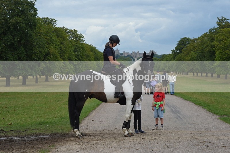 TT3_9620 - Time at Crossing 11:28 to 13:16