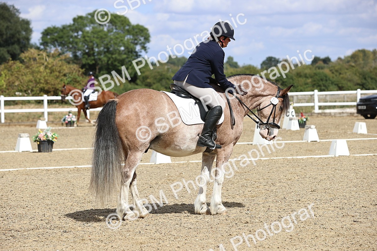 SBM_014576 - Class 5 - E5 Bronze 13.30.14.18